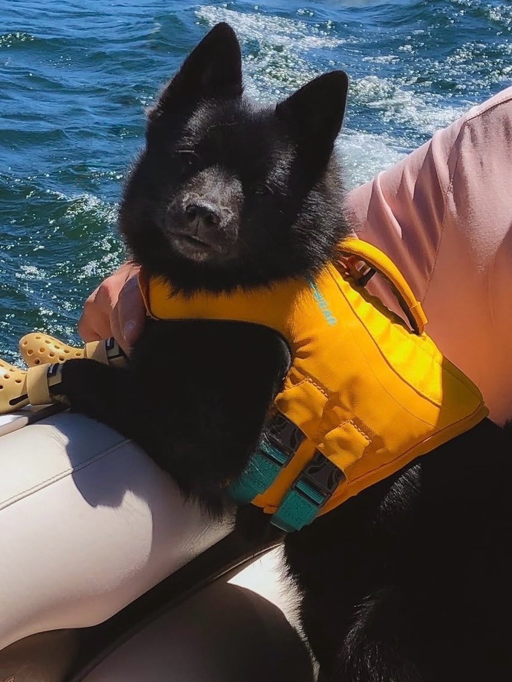 Ruffwear Wave Orange Float Coat- XXS